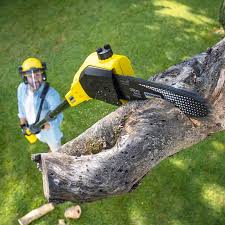 Monticello, MN Tree Care Company